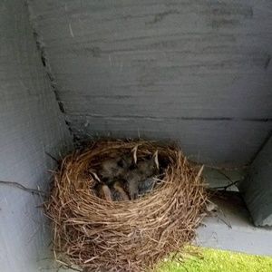 Meet your Posher, Lynn